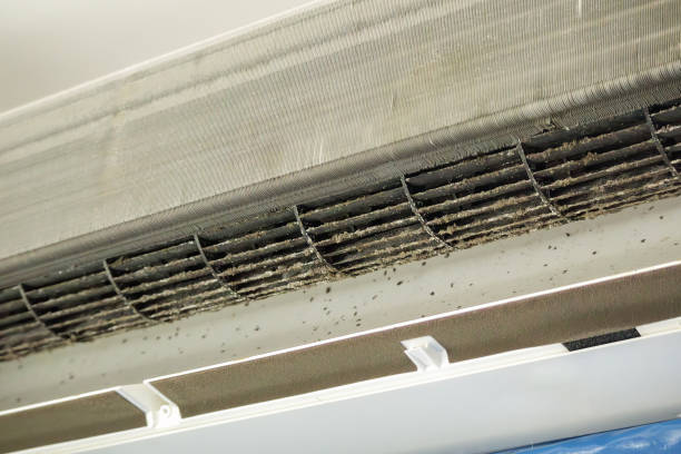 Best Commercial Air Duct Cleaning  in Long Valley, NJ
